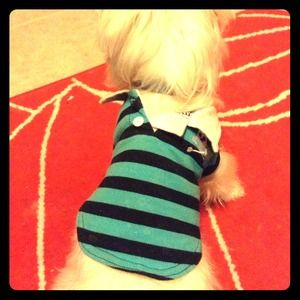 Dog polo shirt