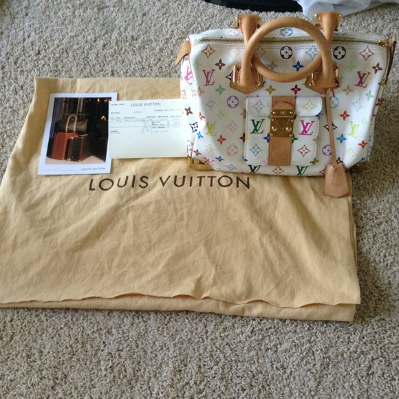 Louis Vuitton Speedy 30 multi-color