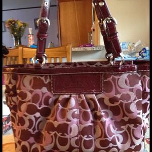 3 color purple coach purse