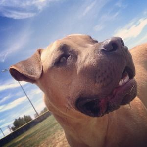 Oh look My mommys Awesome closet!!!!