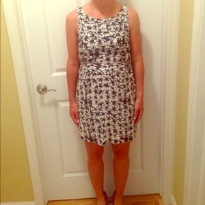 J. Crew star print dress