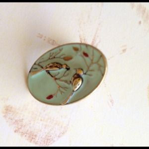 Light green bird ring