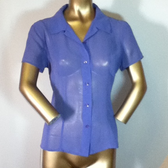 Violet sheer top