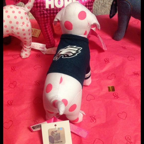 Victorias Secret Philadelphia Eagles NFL dog