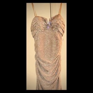 Brand new Adrianna Papell evening gown