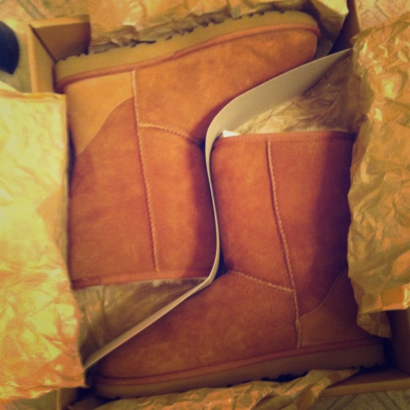 UGG Shoes - Size 9 Uggs never worn