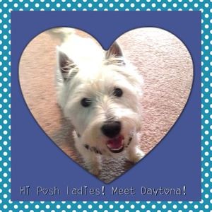 Best pooch ever = PRICELESS