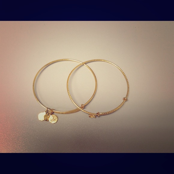 Alex and Ani starter bracelets