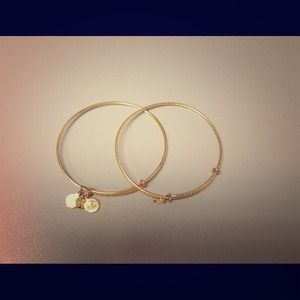 Alex and Ani starter bracelets