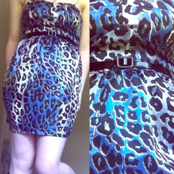 Zebra dress