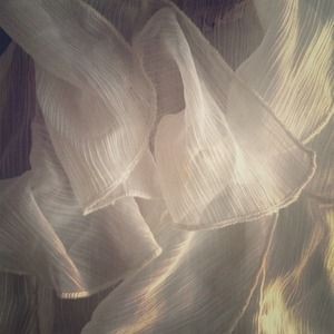 White Ruffled Choker-Styled Top