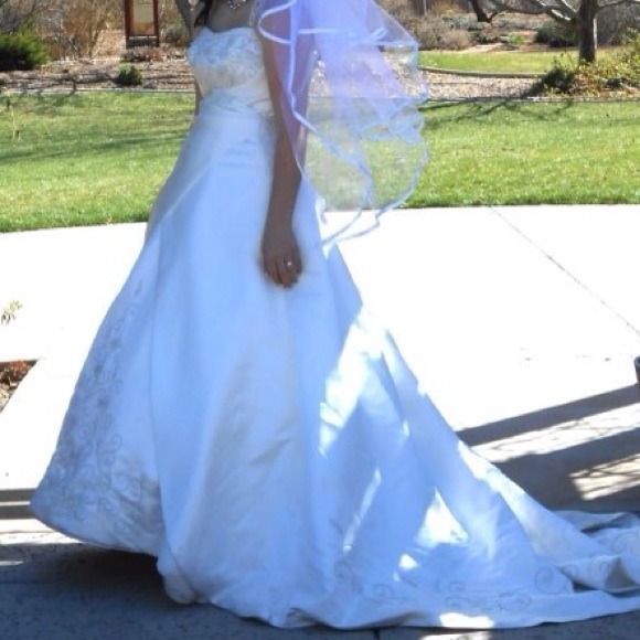 Beautiful wedding dress!! - Picture 4 of 4
