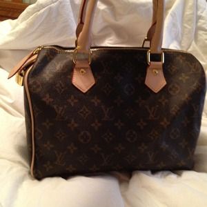 inspired Louis Vuitton speedy