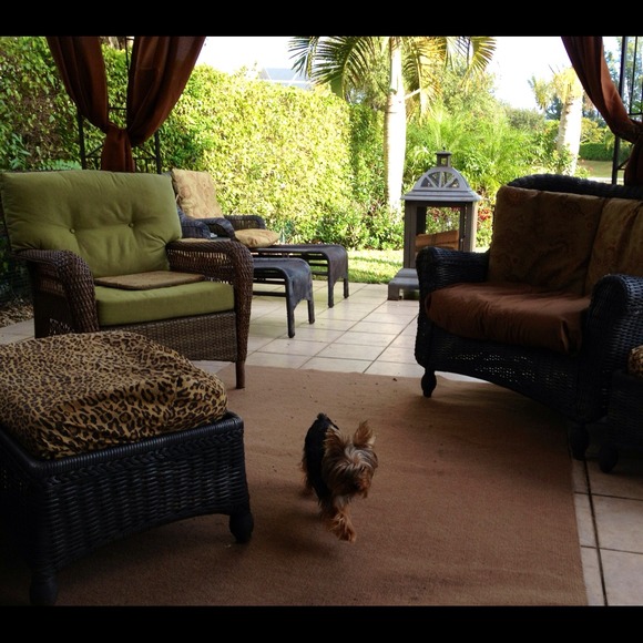 CHANEL CERF TOTE WITH GUILTY FURRY PARTY - Picture 3 of 3