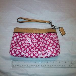 Coach clutch (can be used as makeup bag)