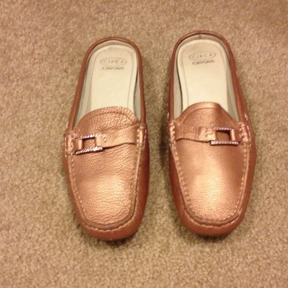 Joan & David slides.