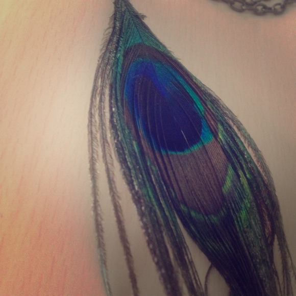 Peacock feather long necklace