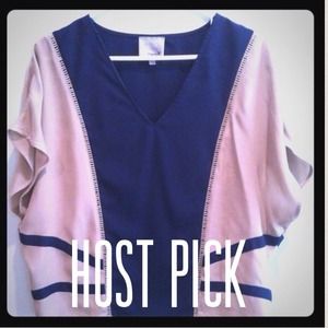 Host pick 100% silk navy blue and tan top