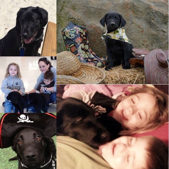 Other - Diabetic Service Dog for niece and nephew