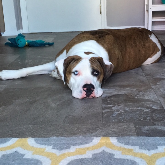 πΈMeet Ur SellerπΈ CHECK OUT SOME FEEDBACK π - Picture 3 of 4