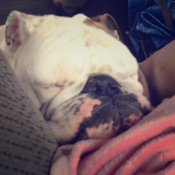 Not for sale ;) my baby Francine Josephine!