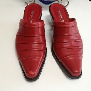 Bundled w/blk &brn purses and Red Slip on  shoe