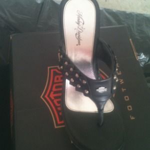 Harley Davidson shoes