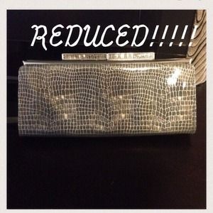 Banana Republic, snake skin leather clutch.