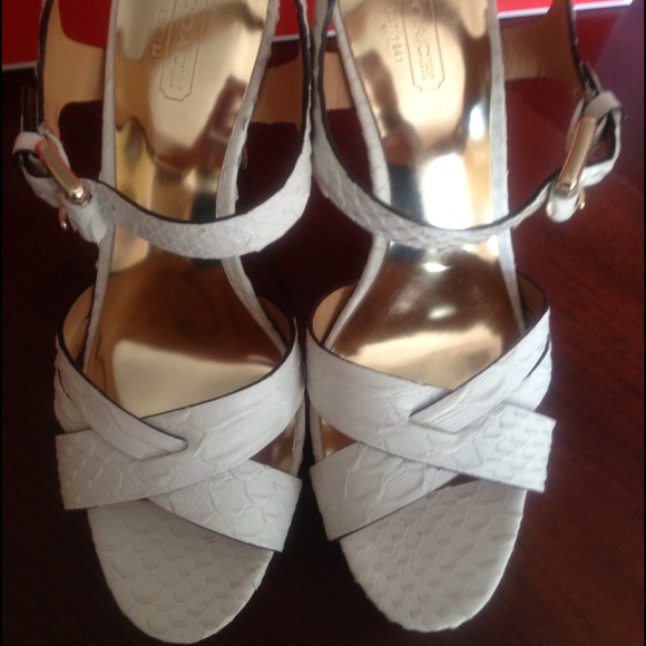 Coach Snakeskin Heels! Hot!! Worn once - Picture 2 of 4