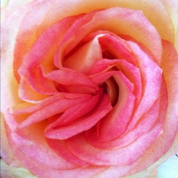 To all those with chronic pain  or illness... - Picture 2 of 2