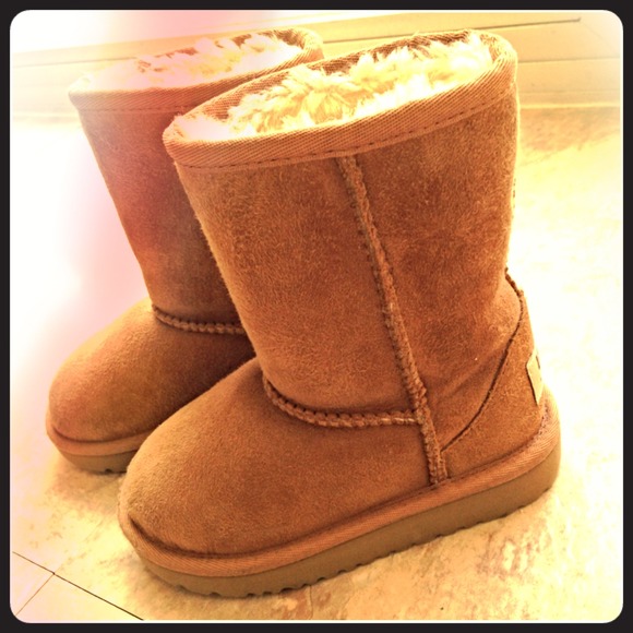 Chestnut Uggs