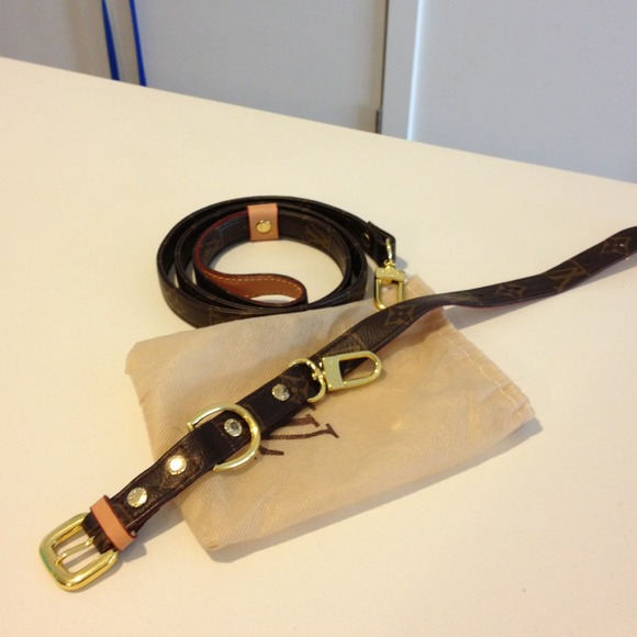 Louis Vuitton Other - Louis Vuitton Inspired Dog Collar and Leash.