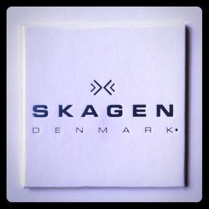 Skagen Denmark stainless steel watch. Women's