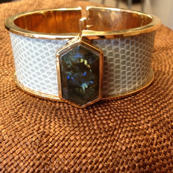Gorgeous Snake skin and Lapidite cuff