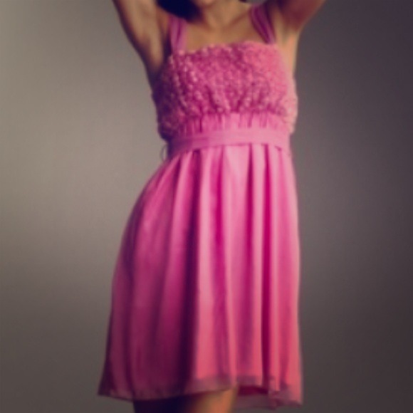 Dresses & Skirts - BNWT Rose appliqué dress. Dresses & Skirts - BNWT Rose appliqué dress.