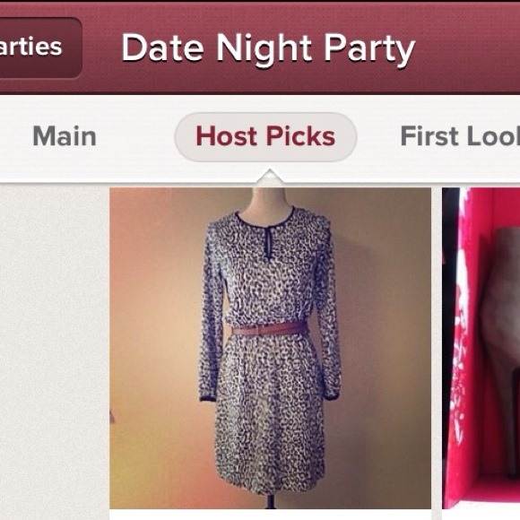 Zara Leopard Keyhole Long Sleeve Dress - Picture 4 of 4