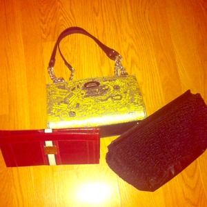 Reserved miche purse with 3 shells