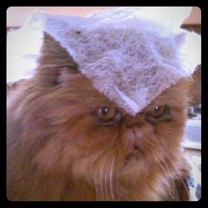 Meet your seller 😜Bubbie