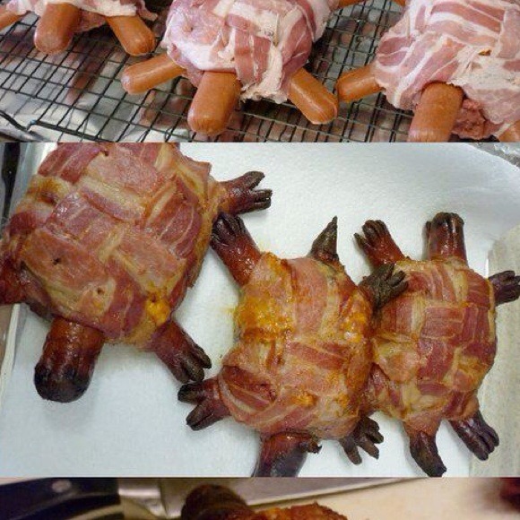Turtle burgers fun and no not a real turtle