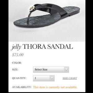TORY BURCH Jelly Thora flip flops size 8