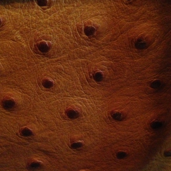 🚫SOLD - Picture 4 of 4