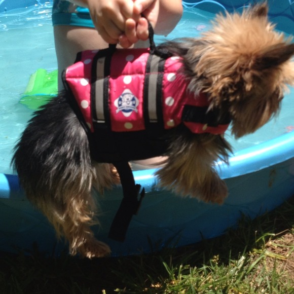 xxs-doggie life vest. For a female dog