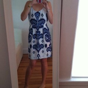 Banana Republic Blue and Ivory  Ikat Print Dress