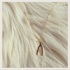 Gold Wishbone Necklace