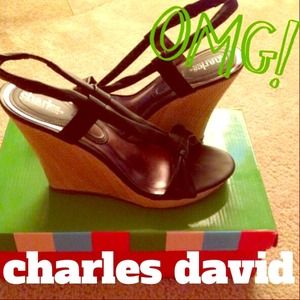 👠 LIKE NEW Charles David Wedges