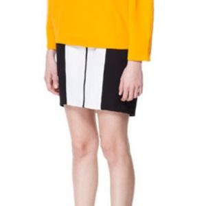 🎉HOSTS PICK🎉 NWOT two-toned pencil skirt