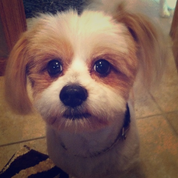 Please check out my moms closet!