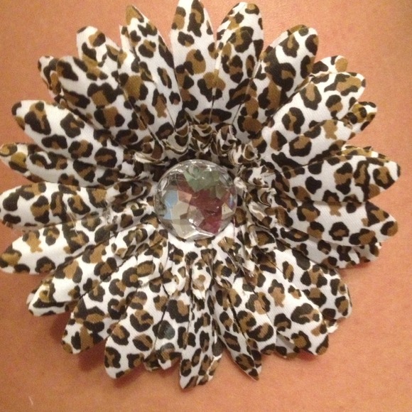 Leopard gerber daisy