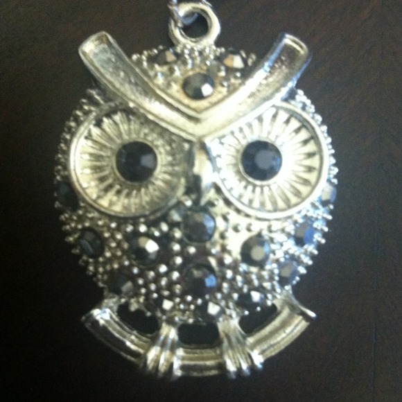 Owl necklace!