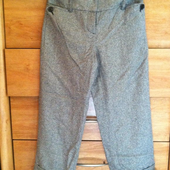 NWOT Ann Taylor Loft dress capris